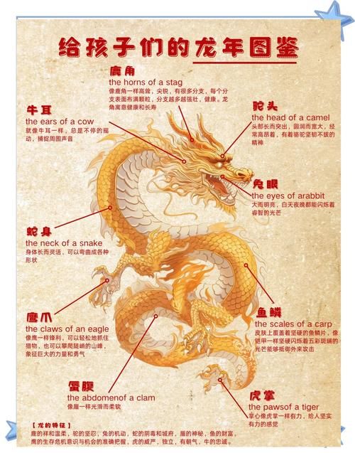 御龙在天空白的玄图揭秘 传说中的神秘图案解析