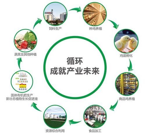 循环经济是什么意思 生活中的循环经济例子有哪些