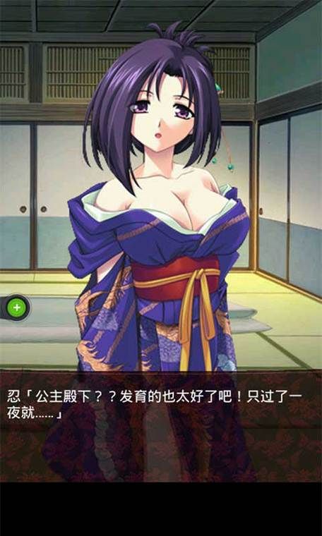 必玩的hgame单机游戏 宅男宅女的最爱