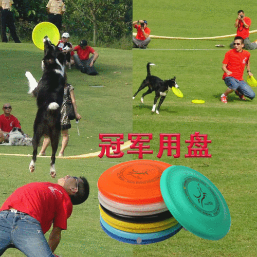 快乐8飞盘什么意思 常见问题解答大全