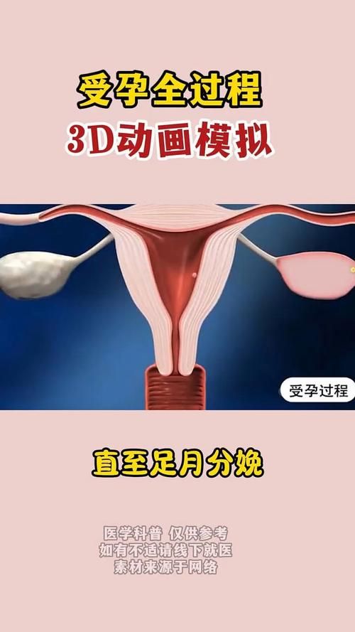 怀孕大肚子养成游戏下载安装教程超简单