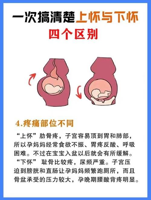怀孕大肚子养成游戏下载安装教程超简单