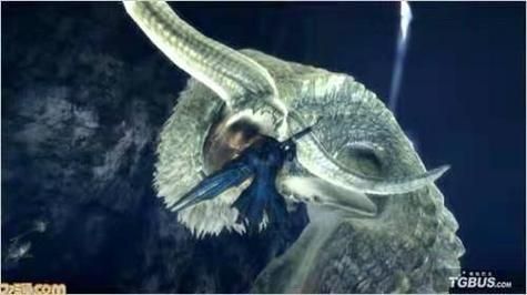 怪物猎人3g大海龙任务流程 详细通关攻略