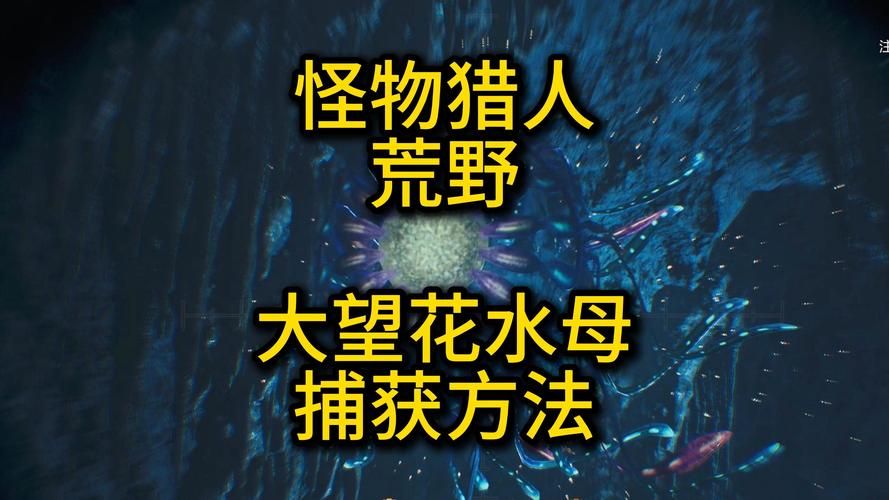 怪物猎人世界大水袋作用详解 这些技巧要知道