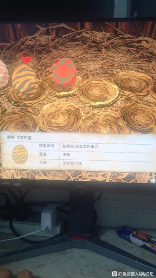 怪物猎人世界白鸠石获取攻略 快速收集技巧分享