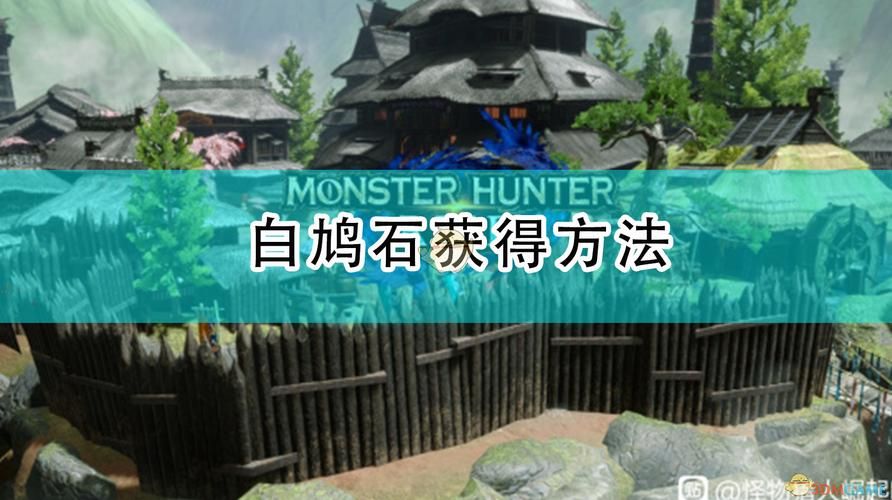 怪物猎人世界白鸠石获取攻略 快速收集技巧分享