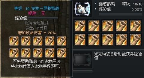 惊天动地弓箭手技能选择指南 最强流派在这里