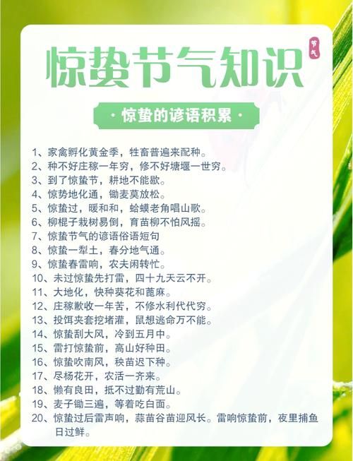 惊蛰的蛰是什么意思 一篇文章告诉你答案