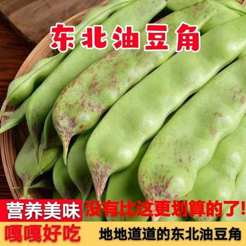 想知道九月青豆角产自哪里看这篇就够了