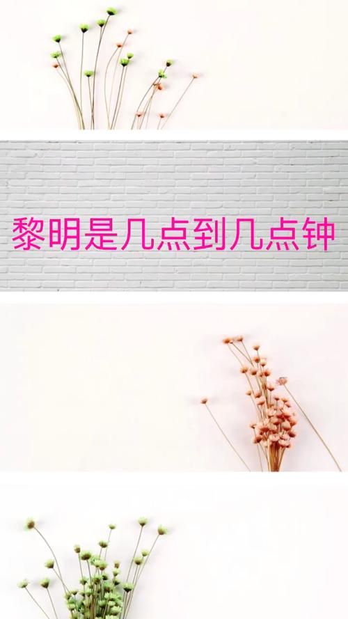 想知道黎明是几点到几点钟 看这里就明白了