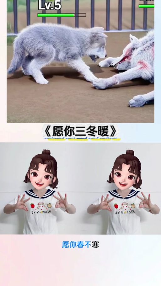 愿你三冬暖是什么歌这首歌的原唱是谁