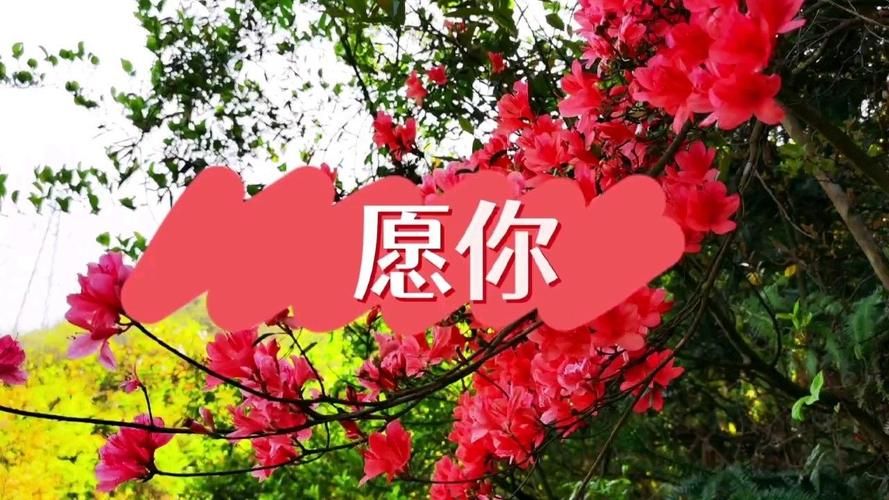 愿你三冬暖是什么歌这首歌的原唱是谁