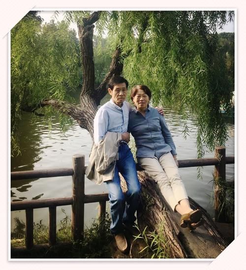 成双荡悠悠是什么歌抖音热门翻唱版本