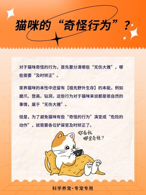 我不知道发生了什么 这些奇怪现象如何解释清楚