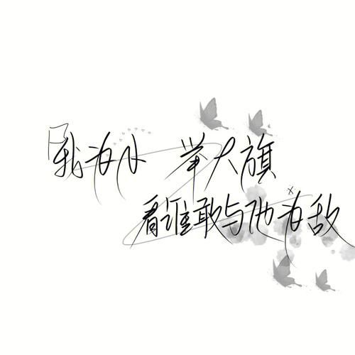 我为我姐举大旗文案怎么写才能表达爱意