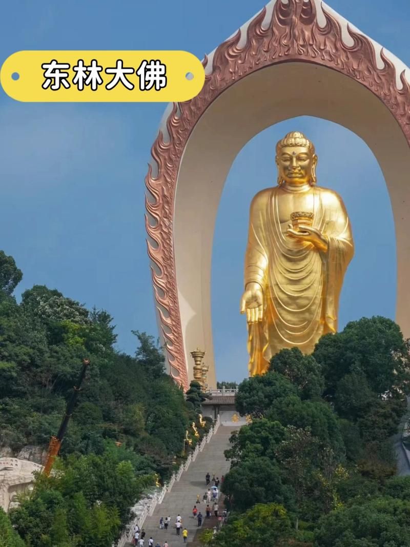 我国最大的佛像在哪里 揭秘中国最高大佛所在地