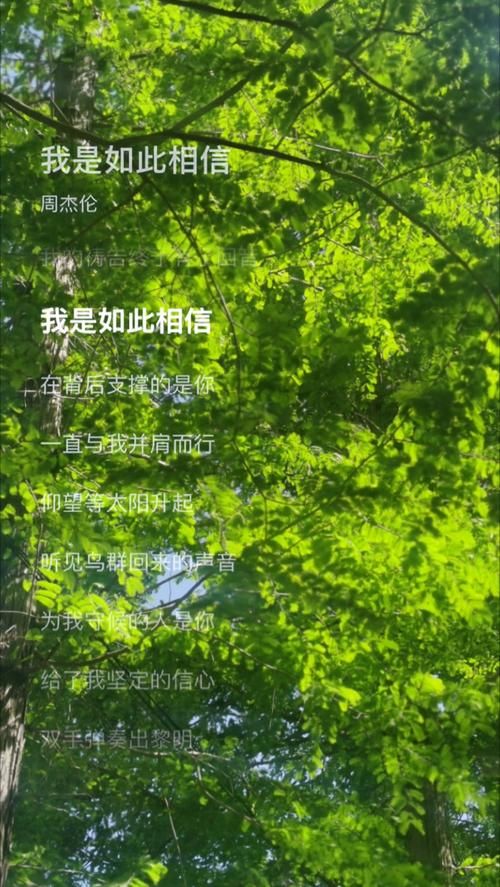 我是如此相信歌词完整版 周杰伦最感人的情歌
