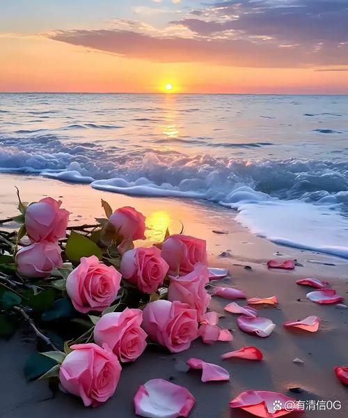 我爱你爱到花都开了 你是我生命中最美的风景