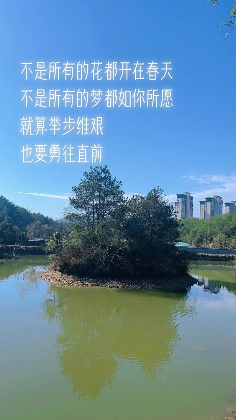 我爱你爱到花都开了 你是我生命中最美的风景
