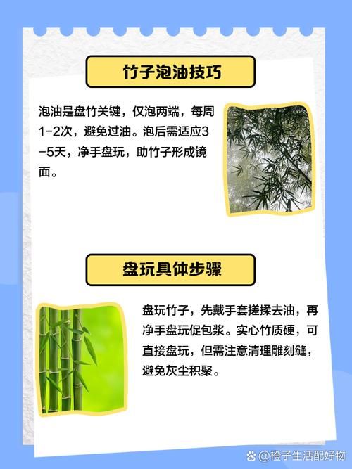 我的世界竹子怎么找新手必备的寻找技巧
