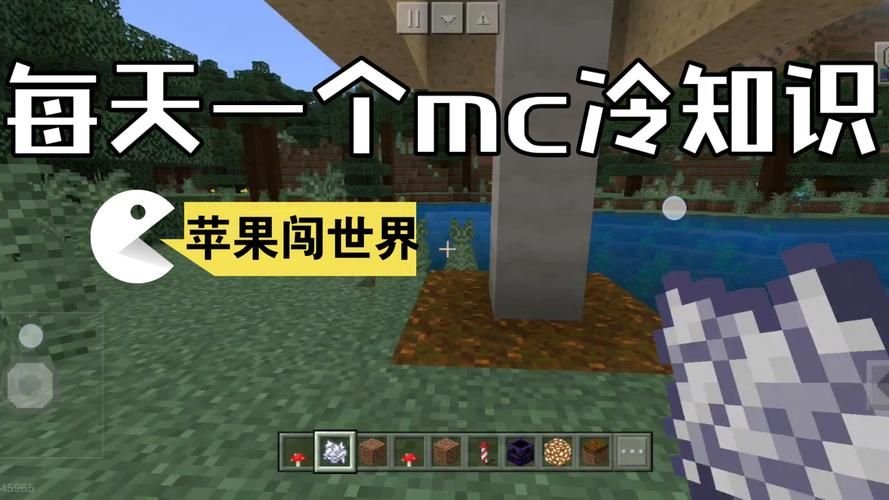 我的世界蘑菇岛指令教学 简单几步找到神秘蘑菇岛