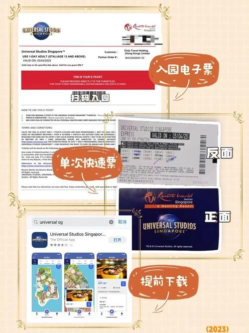 我的小傻瓜支线任务全解析 快速通关秘籍分享