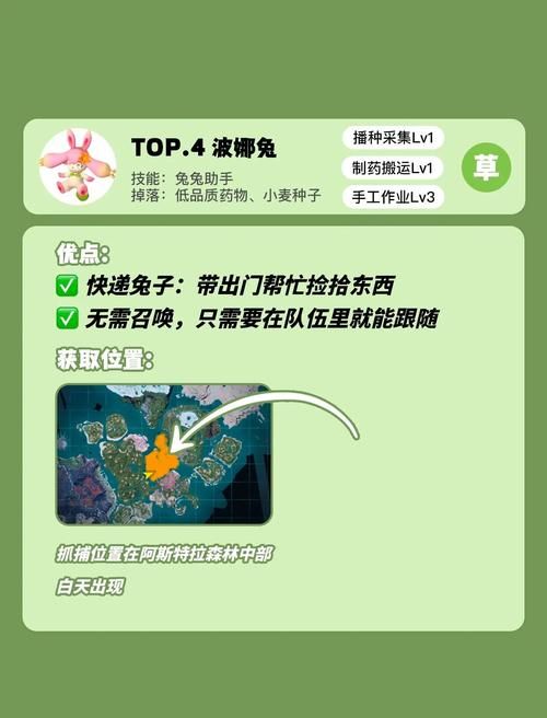 战斗宠物训练师在哪挑战 高难度对战地点揭秘