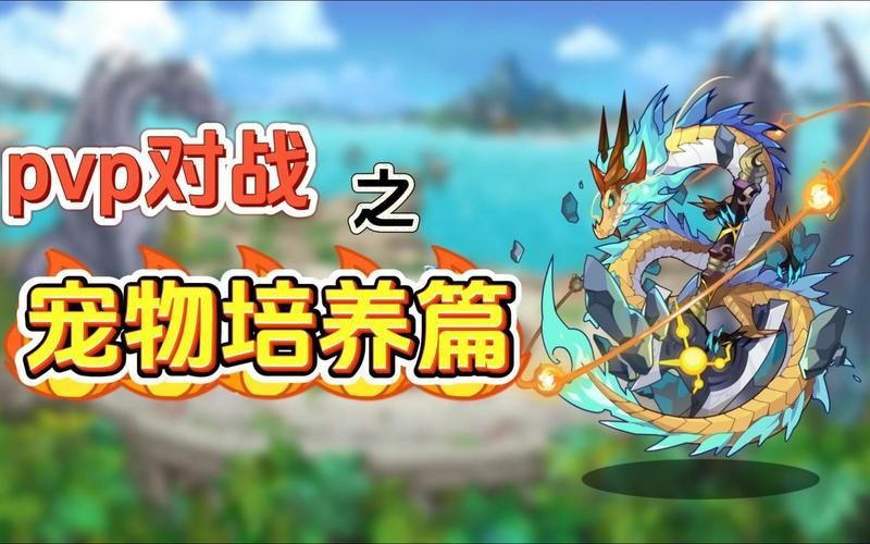 战斗宠物训练师在哪挑战 高难度对战地点揭秘