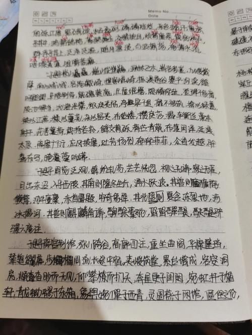 手抄上林赋是什么梗 揭秘这个网络流行语的由来