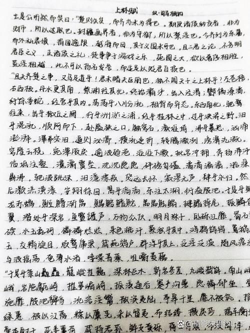 手抄上林赋是什么梗 揭秘这个网络流行语的由来
