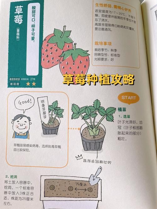 手机怎么玩qq农场 手机种菜升级赚钱全攻略