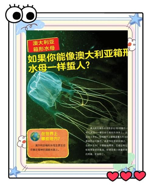 打孔巨匠的海洋生物如何影响海洋生态系统