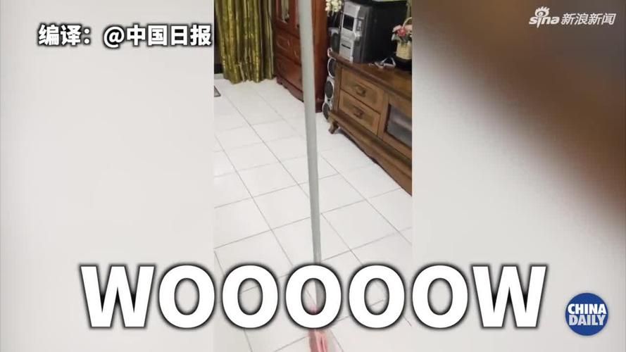 扫把立起来nasa现象 为什么只有这几天能成功