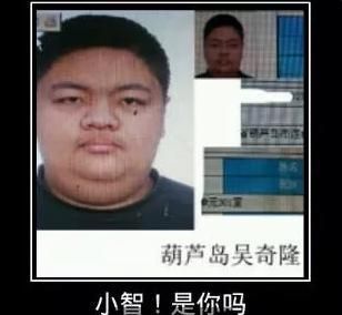 找lol小智在哪直播 看这里就对了