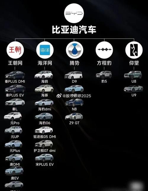 比亚迪是哪个国家的企业 解析比亚迪的全球布局