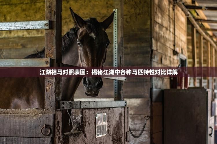 江湖相马攻略常见问题解答一览