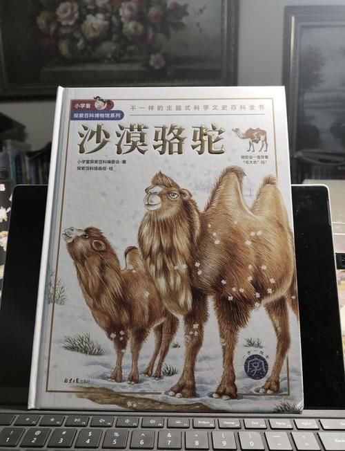 沙漠之舟是什么动物带你认识骆驼的神奇之处