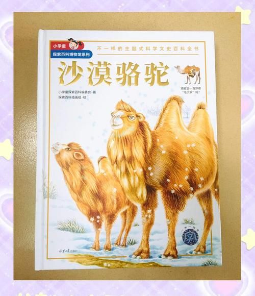 沙漠之舟是什么动物带你认识骆驼的神奇之处