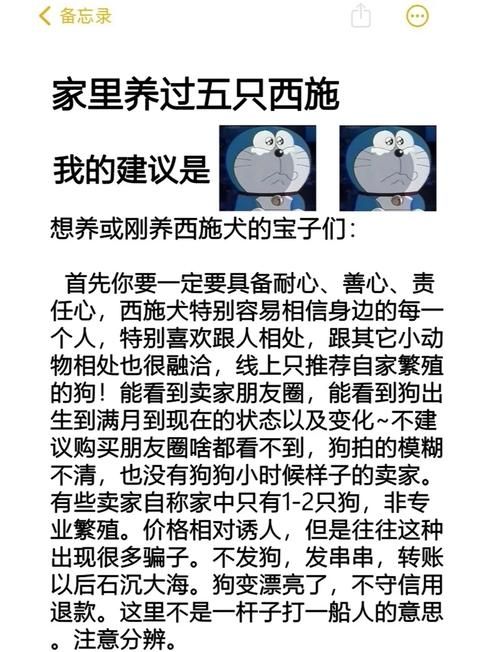 波罗丁的证物怎么得 任务流程全解析