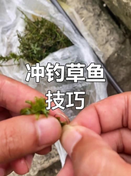 洛奇英雄传钓鱼攻略 轻松掌握钓鱼方法