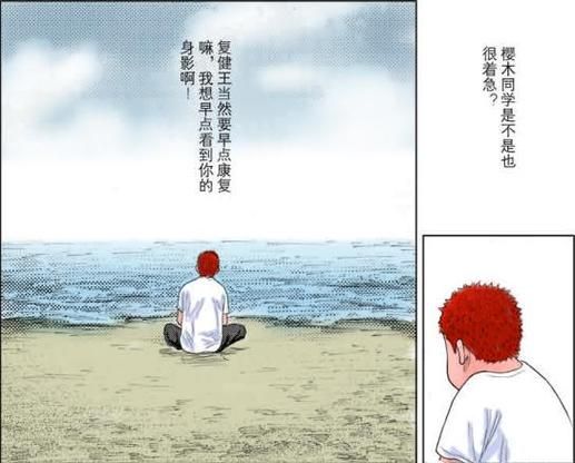 灌篮高手之梦回灌篮解析经典角色成长故事