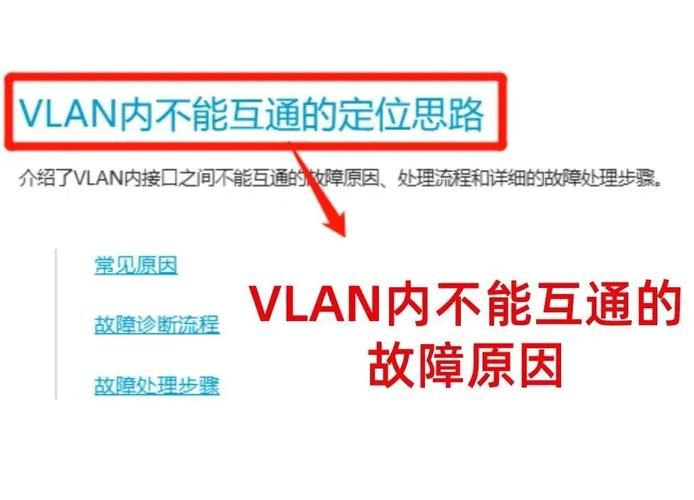 火炬之光2vlan设置指南 解决联机卡顿问题