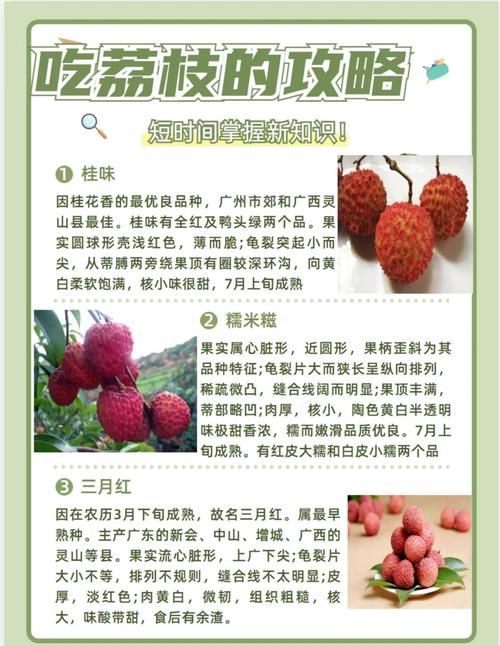 空腹吃荔枝蚂蚁庄园提醒 这些事项要注意
