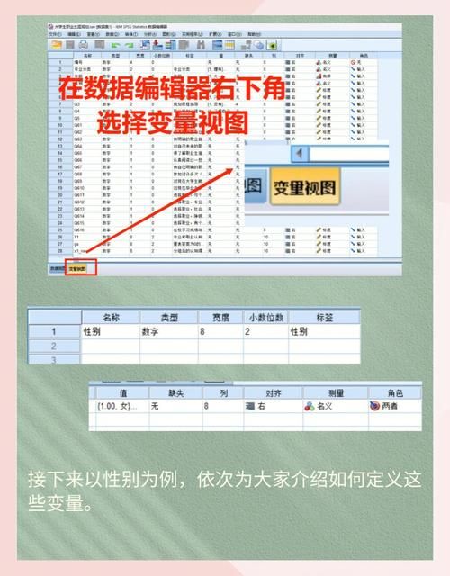 维多利亚2开局变量怎么设置 新手必看教程