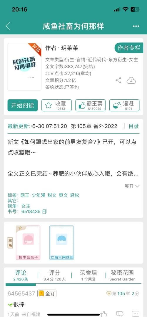网王同人之捕风捉影同人小说阅读指南与评价