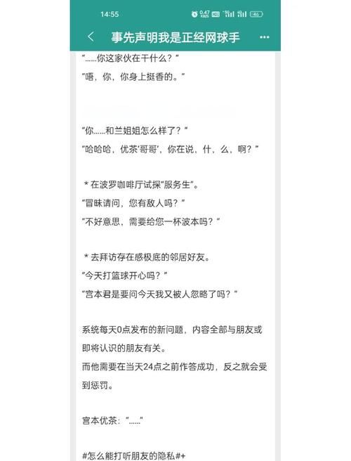网王同人之捕风捉影同人小说阅读指南与评价