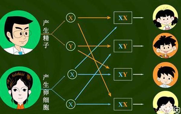 美女大战精子无敌版玩法解析 新手必看教程指南