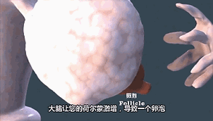 美女大战精子无敌版玩法解析 新手必看教程指南