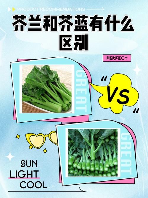 芥兰和芥蓝的区别大比拼哪个更适合你吃