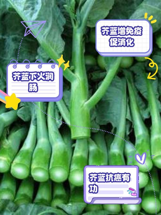 芥兰和芥蓝的区别大比拼哪个更适合你吃